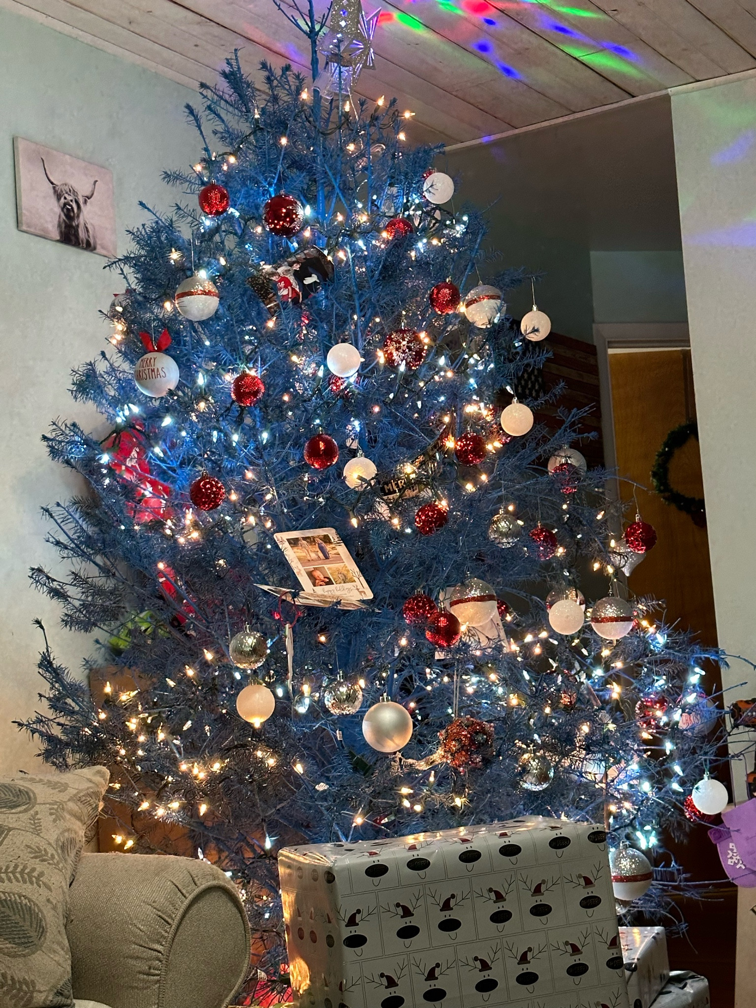 Looking to get a new tree! Target had them on sale today. 

#LTKHoliday #LTKCyberWeek #LTKHolidaySale