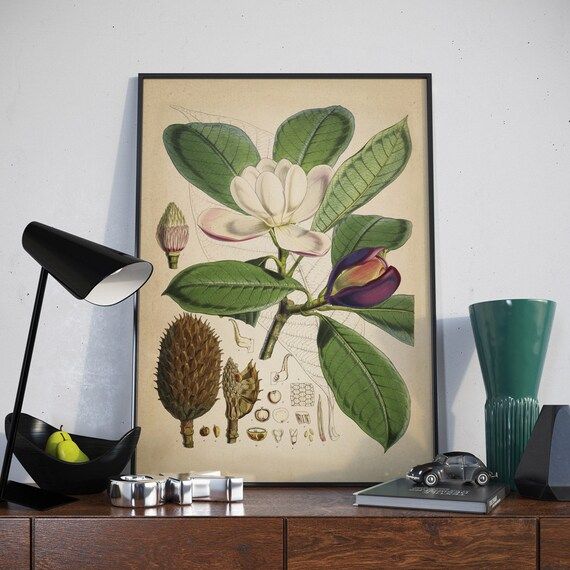 Magnolia Vintage Print, Magnolia Flower Print, Flower Antique Poster, Antique Plant Print, Vintage B | Etsy (US)