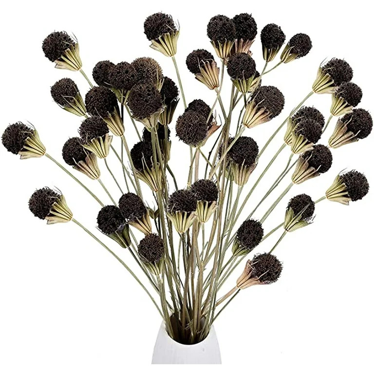 Dried Flowers Dried Flower Bouquets Brown Natural Dried Billy Balls Dried Flower Pine Cones Bundl... | Walmart (US)