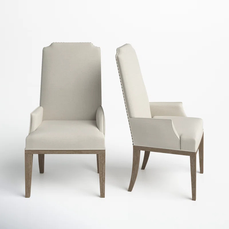 Dunnes Upholstered Arm Chair in Sun-Bleached Cypress | Wayfair North America