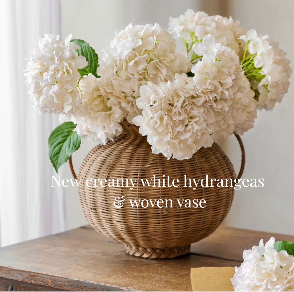 Beautiful new cream hydrangeas and oversized woven vase for a fresh home look from Magnolia Home. Shop more vase styles and spring florals. 

#LTKHome #LTKFindsUnder100 #LTKdayinmylife