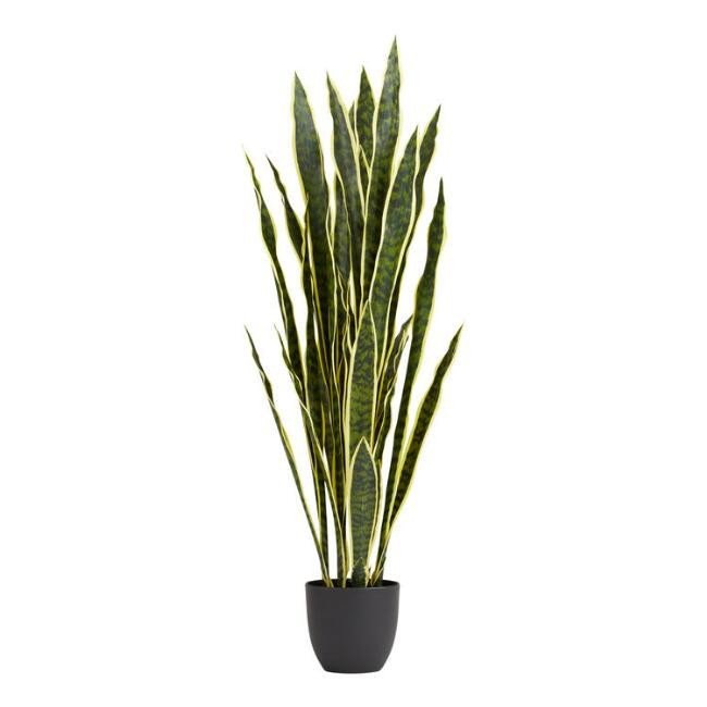 Faux Snake Plant | World Market