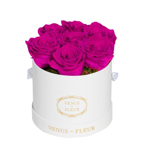 Le Petit Round | Venus ET Fleur