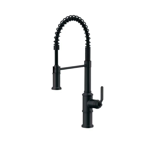 D455237BS Kinzie Pull Down Single Handle Kitchen Faucet | Wayfair North America