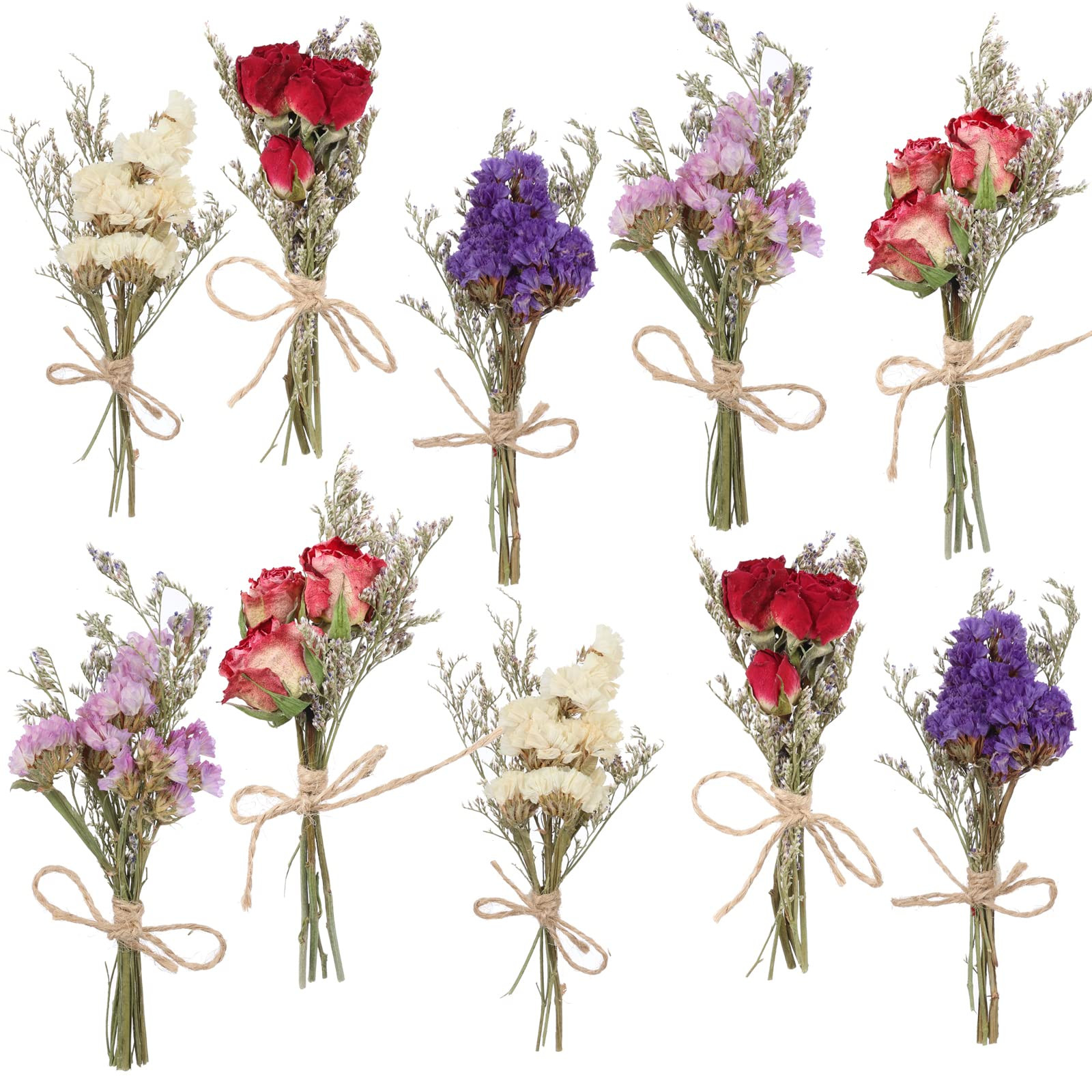 10 Pack Dried Flower Bouquets Mini Dried Flower with Stem Forget Me Not Dried Embossing Natural F... | Amazon (US)