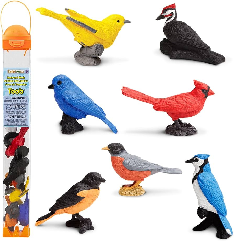 Safari Ltd. Backyard Birds Toob - Figurines: Woodpecker, Indigo Bunting, Robin, Oriole, Warbler, ... | Amazon (US)
