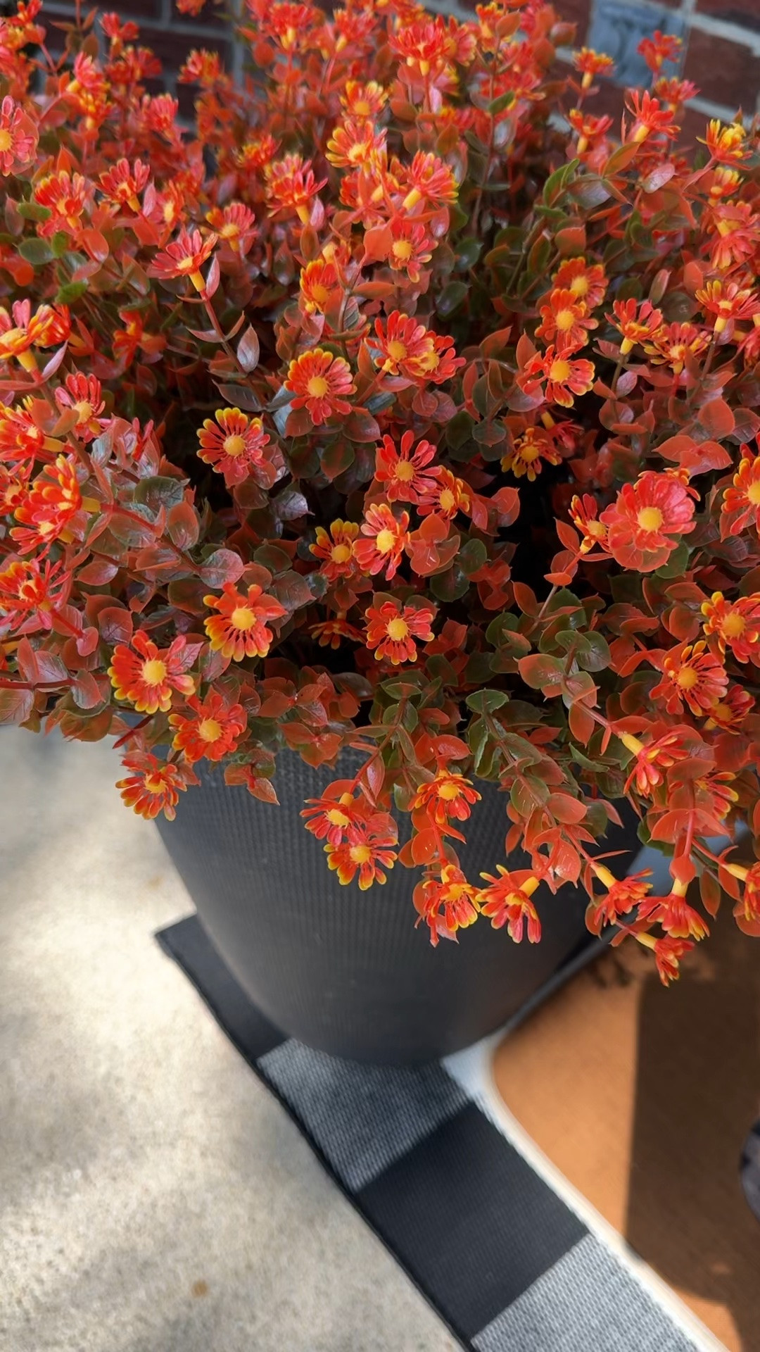 Fall porch refresh. 
I ordered 3 packs of the faux mums, and split them evenly between the two pots. 
#falldecor

#LTKSeasonal

#LTKHome