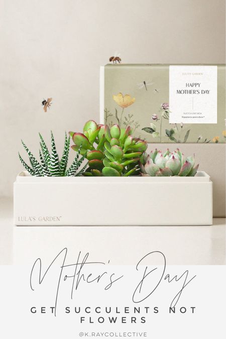 Get mom succulents instead of flowers I promise she’ll like them so much better. I know she will want it because it’s what I want for Mother’s Day.

Succulents in a box | succulent gift | flowers for mom | Mother’s Day | Gifts for Mom | Mom gifts | fresh flowers | Mother’s Day gifts

#MothersDay #Mother’sDayGifts #GiftsForMom #GiftsForHer #succulents

#LTKunder100 #LTKGiftGuide #LTKSeasonal