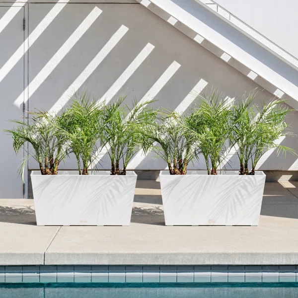 Pure Series Plastic Planter Box | Wayfair North America