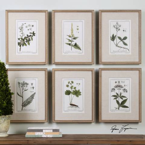 Green Floral Botanical Study 6-Piece 22 3/4" High Wall Art Set - #9G309 | Lamps Plus | Lamps Plus