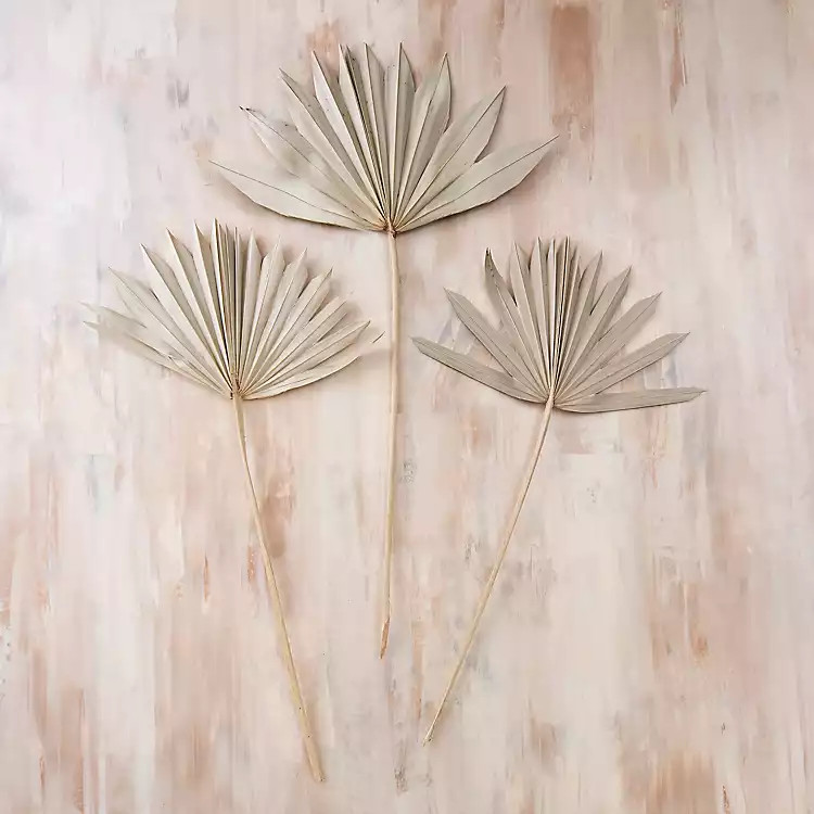 New!Dried Sunspear Stems, Set of 3 | Kirkland's Home
