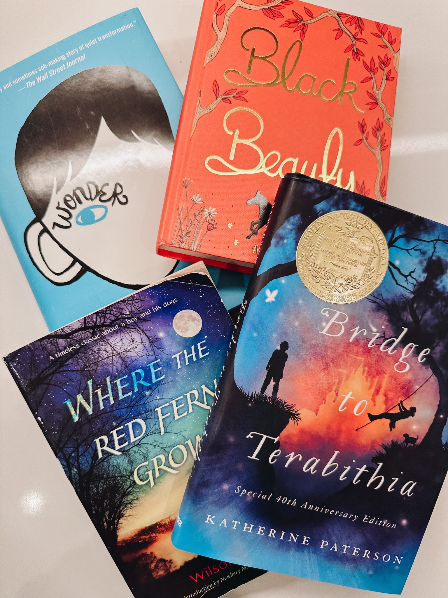 middle school summer books


#LTKkids #LTKtravel #LTKSeasonal