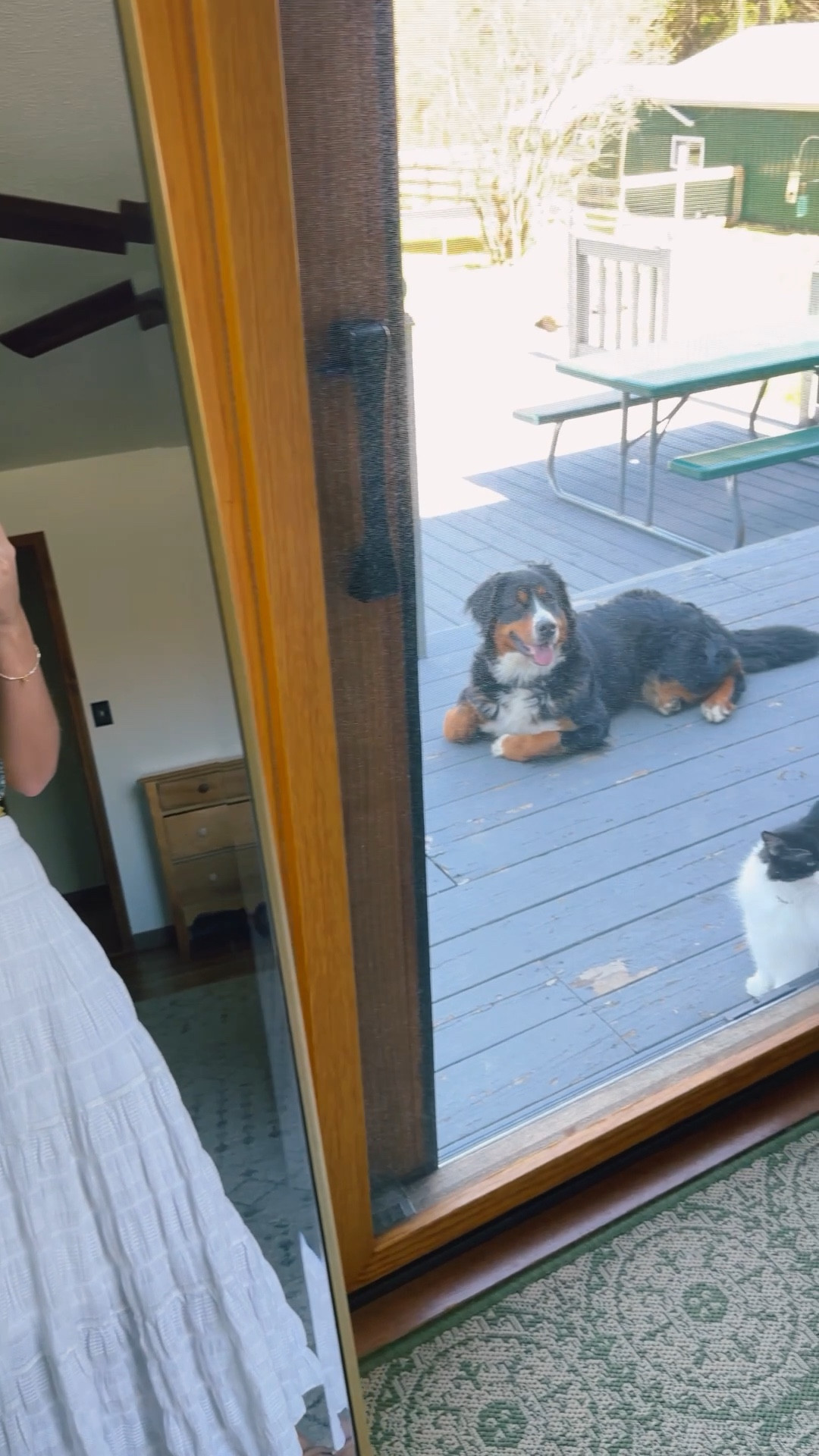 They’re always watching me…. 👀


small in my tank and xs in my skirt. My Croc sandals are size 6. 


#LTKPetite #LTKgrwm #LTKootd