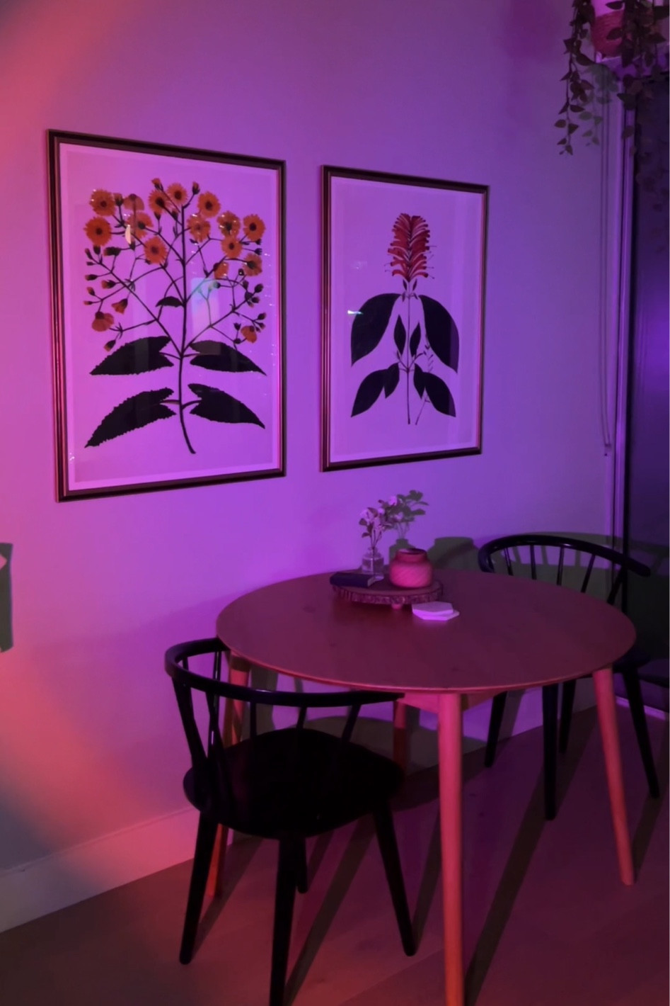 Link to this sun lamp making my room purple 🤩🤩

#LTKhome