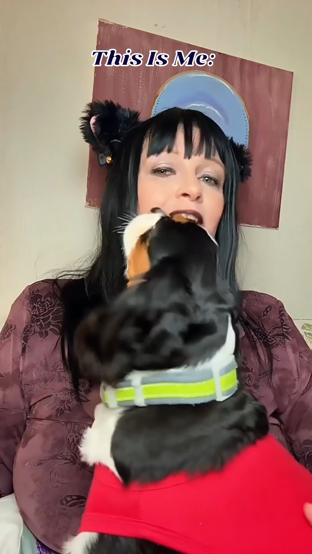 This Is Me

#LTKOver40 #LTKMidsize #LTKPets