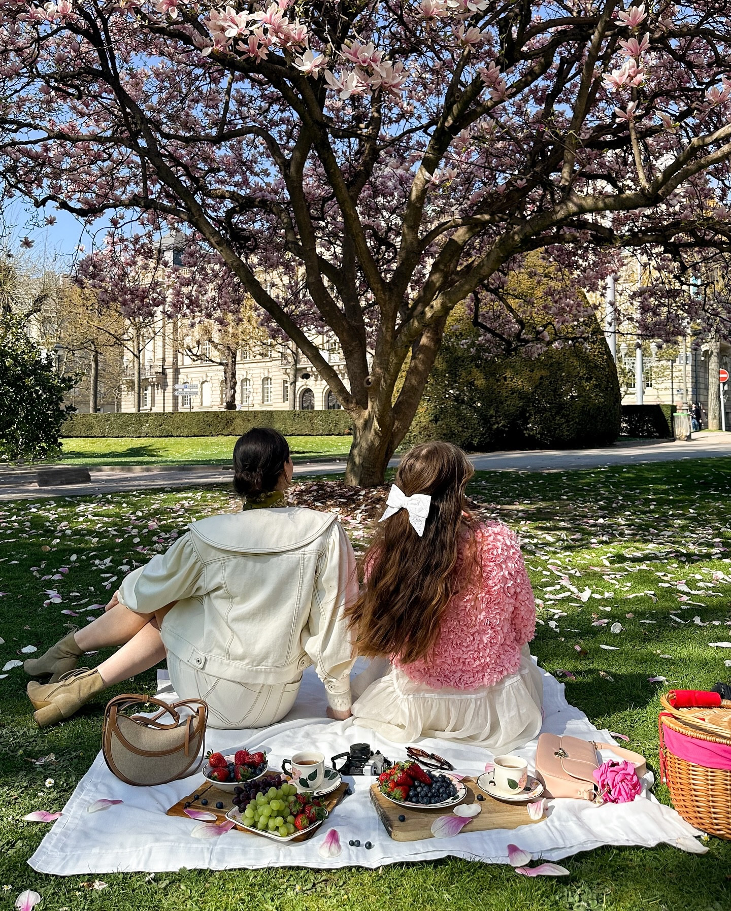 Picnic under the magnolia trees 🌸🧺🍓
Spring is here and what’s best than to plan a lovely picnic with your fiends under the blooming trees ? 
La saison des piques niques est de retour avec les beaux jours, retour sur une jolie après-midi sous les magnolias 🌸🧺
•
•
•
•
Pique nique, picnic aesthetic, spring picnic, spring vibes
#springstyle #springoutfitideas #springvibes🌸 #picnicideas #picnicaesthetic #pinterestaesthetic #springoutfitinspo #pinkaesthetic #pinkoutfit #feminineoutfit #parisianamour #parisianvibes

#LTKfrance #LTKsummer #LTKspring