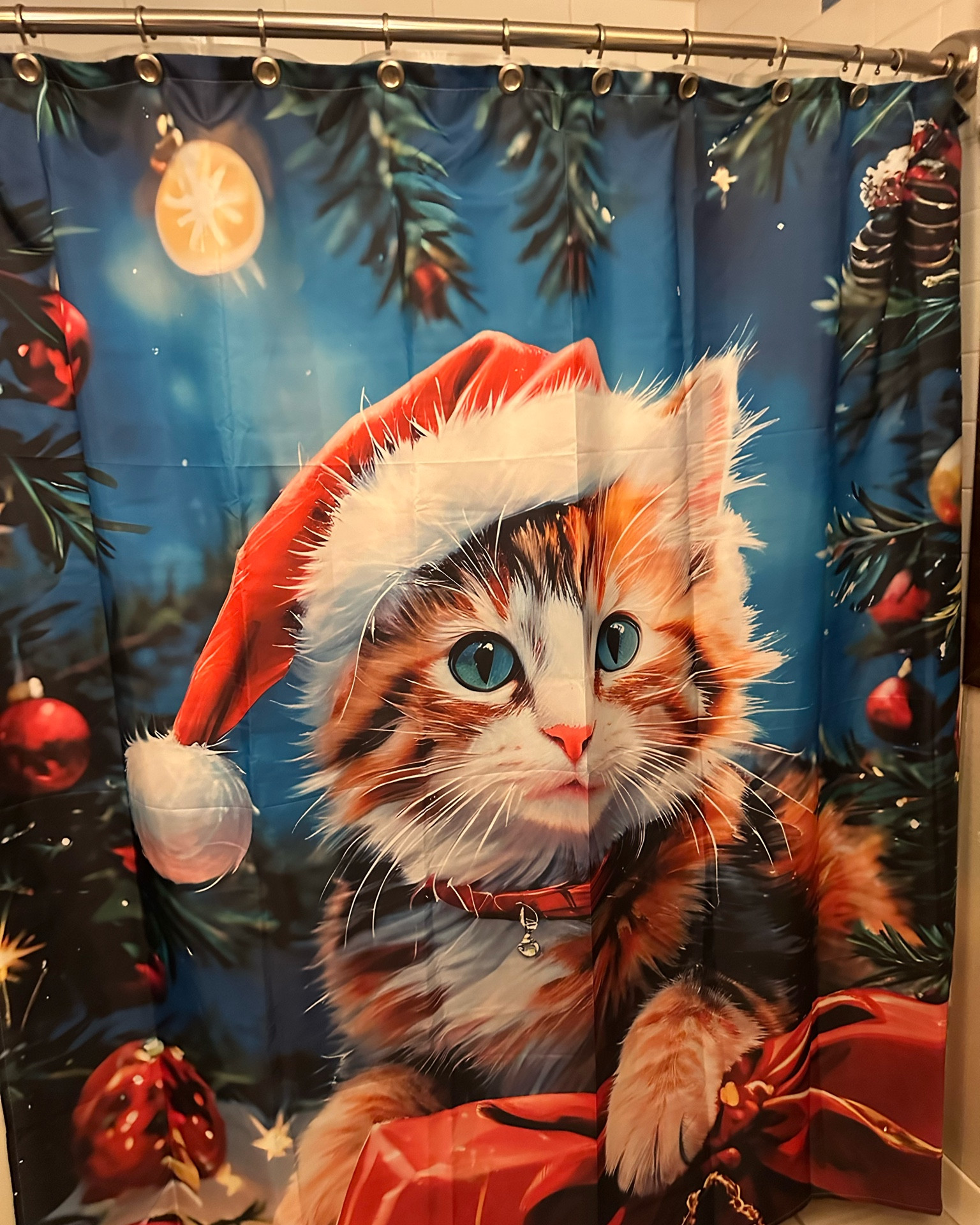 I am in pure awe of my mom’s shower curtain! Why didn’t I ever think to get myself a Christmas shower curtain? I couldn’t find the exact one she has but I’ve linked a bunch of other, super fun ones below. 

#LTKGiftGuide #LTKSeasonal #LTKHoliday