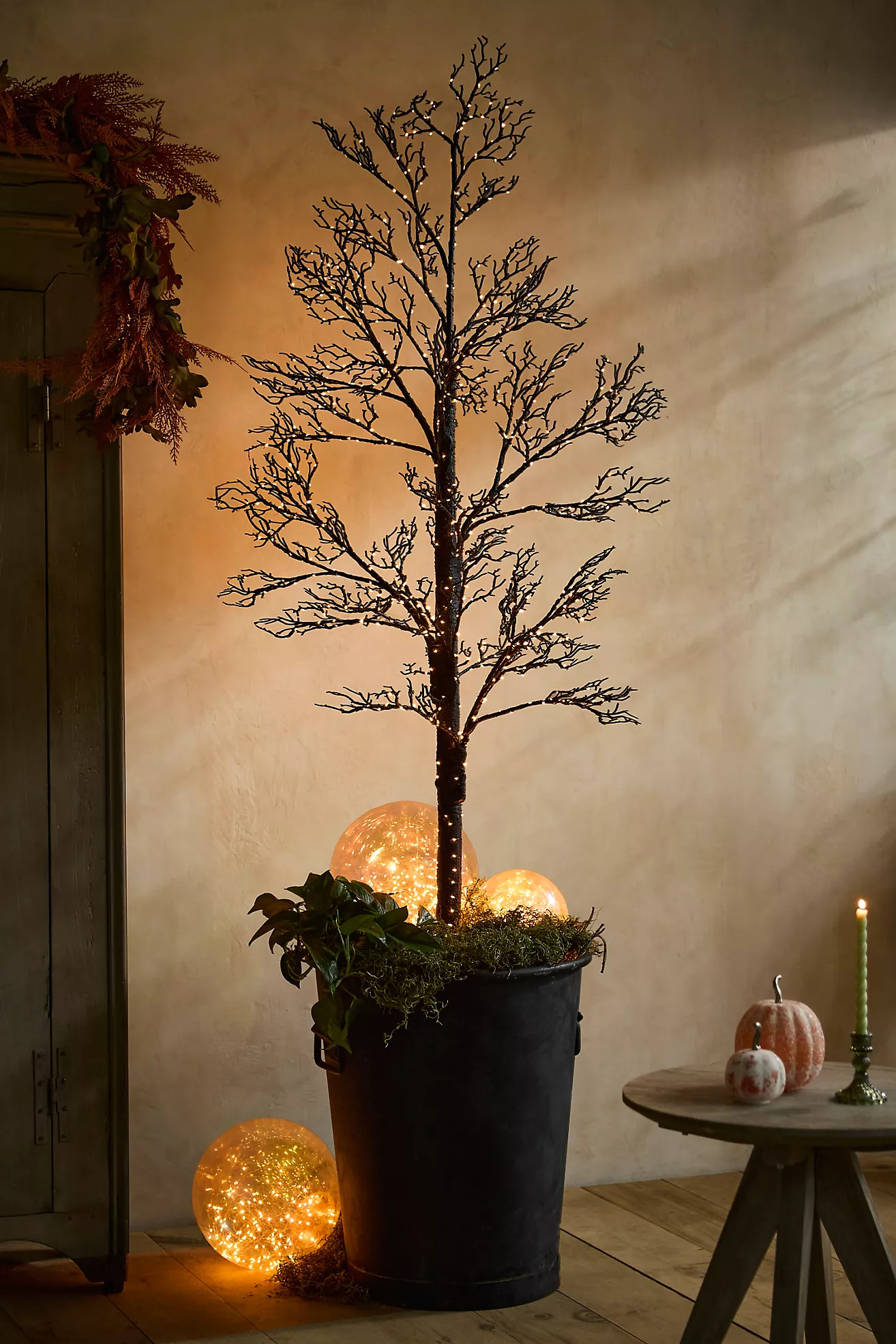 Spooky LED Lit Tree | Anthropologie (US)