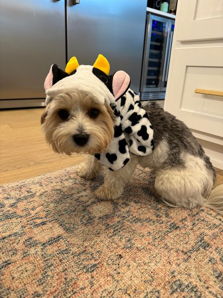Dog cow costume 

#LTKHalloween