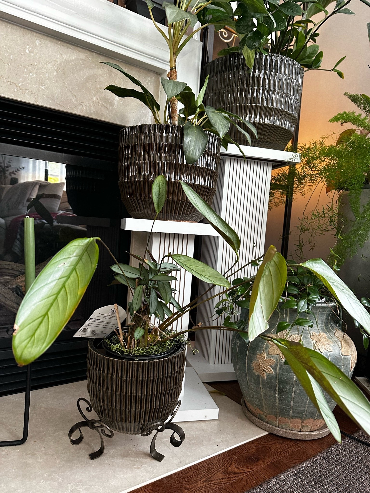 Ceramic planters and pedestals that bring height, texture, and that perfectly layered, intentional feel to your space. 🌿

#LTKHome #LTKOver40 #LTKSeasonal
