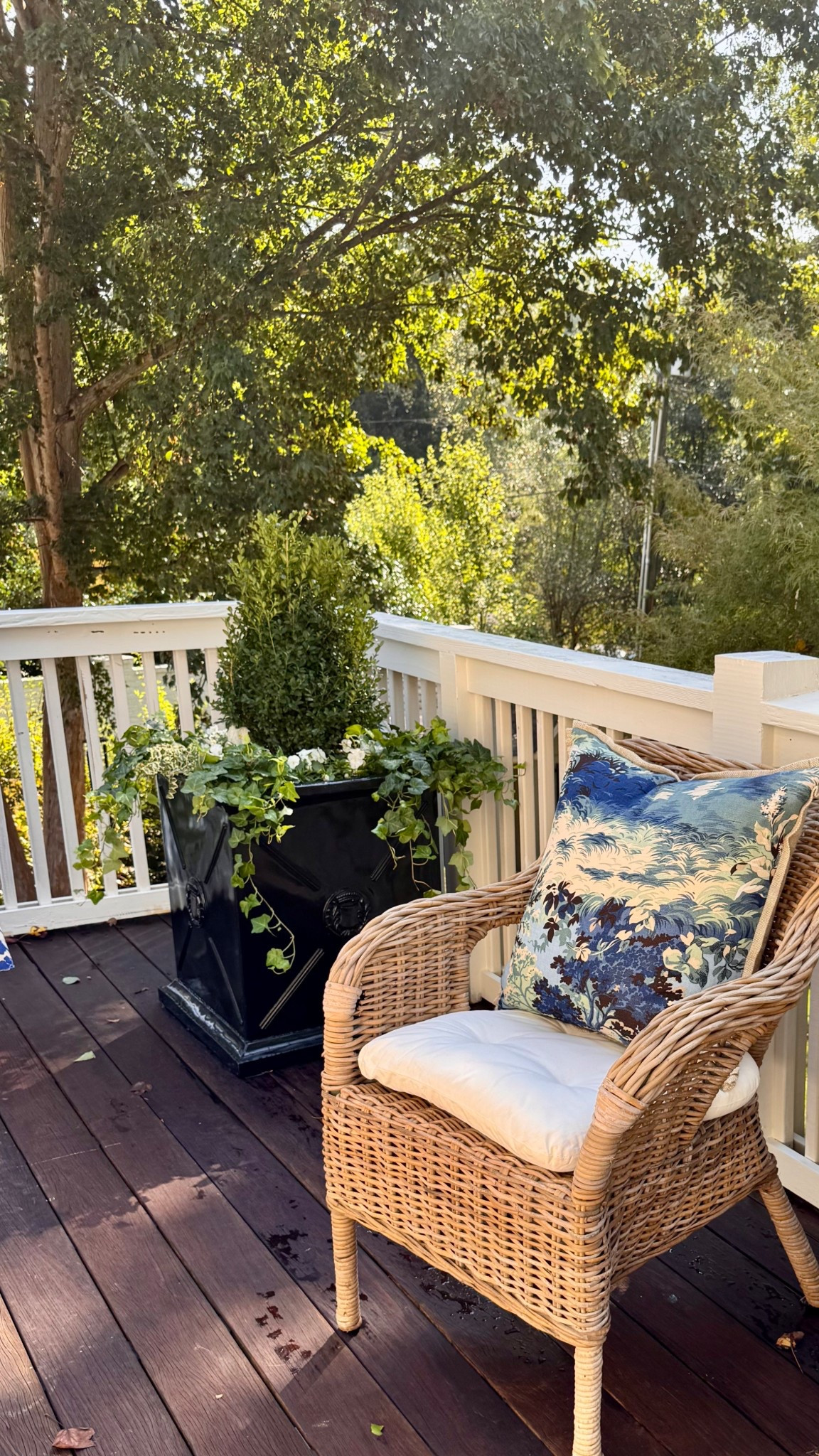 Winter is the best time to plan for spring. These black planters are durable and pretty!!
#planter #springgarden #garden


#LTKSeasonal #LTKmomlife #LTKHome