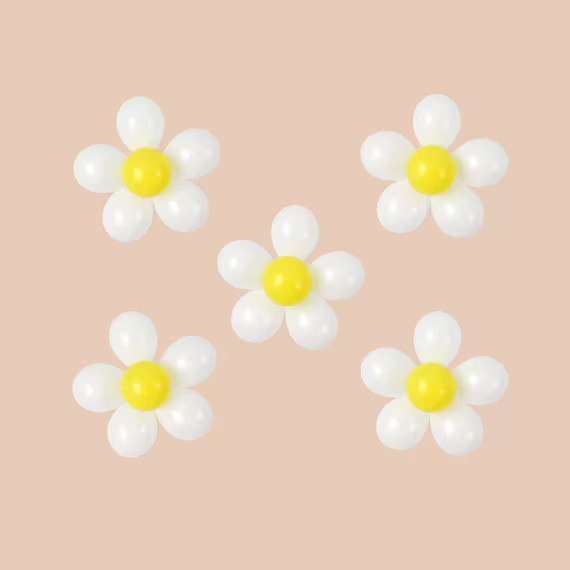 Daisy Balloon Kit Daisy Balloon DIY Groovy Party | Etsy | Etsy (US)