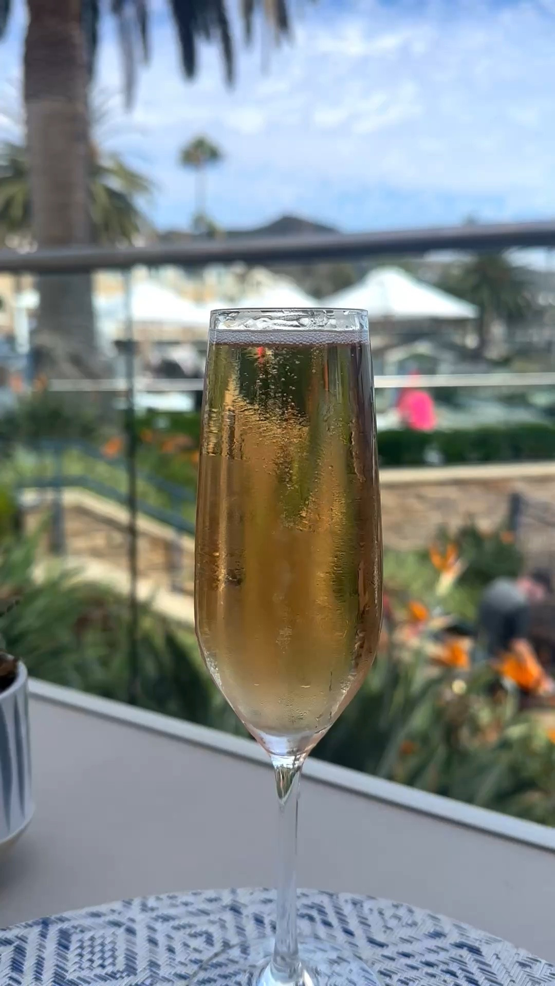 Monday evening mood: mentally still sipping bubbles by the ocean. 🥂🌊

#HappyHour #OceanView #SparklingWine #ChampagneFlute #Barware #BarTools #WineGlass #EntertainingEssentials #WineFridge #BeverageFridge #BeverageRefrigerator #WineCooler #WineCabinet #BarCart #HomeBar #HomeAppliances #LTKHome #LTKStyle

#LTKdayinmylife #LTKHome #LTKTravel