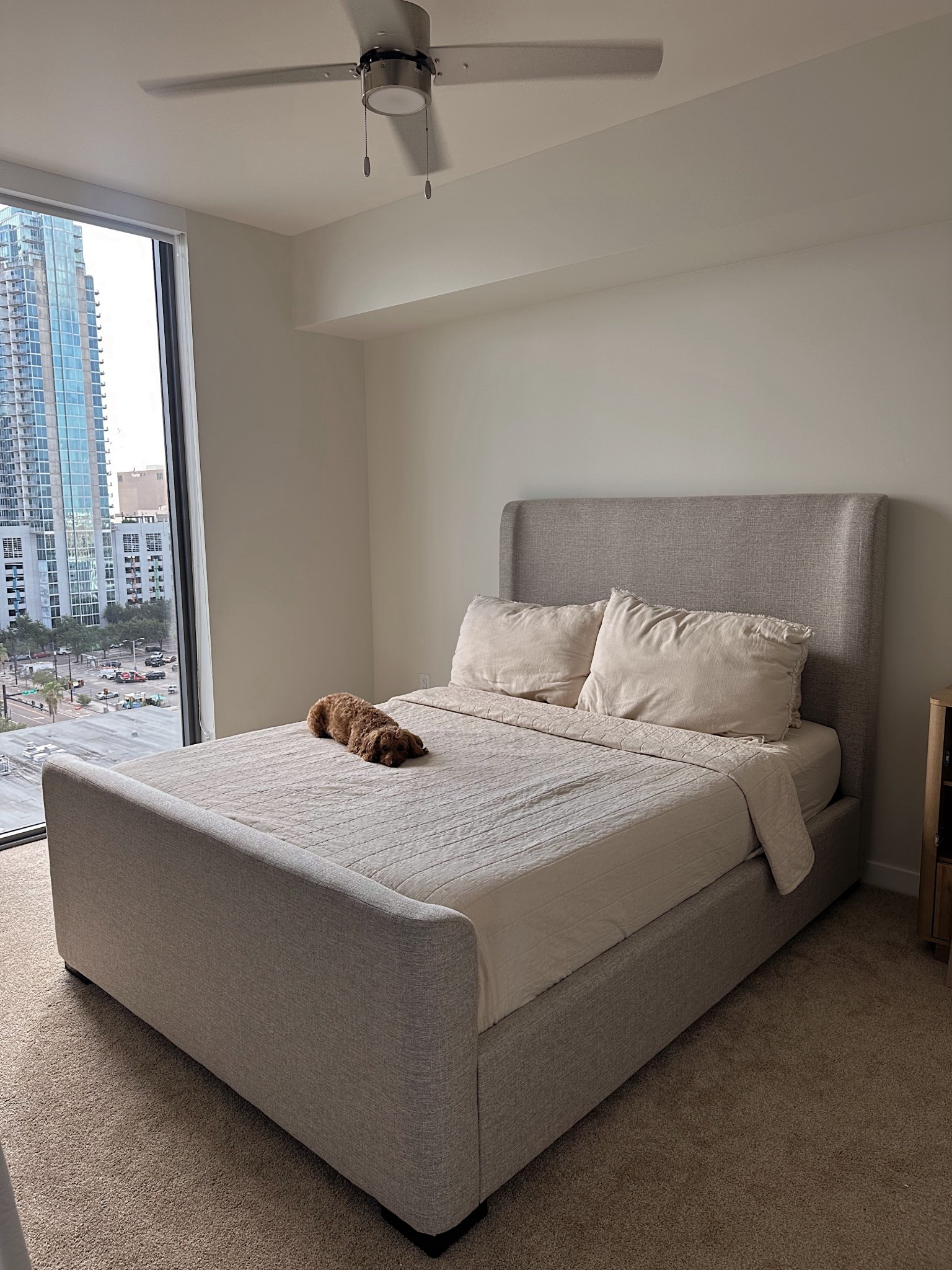 In love with my new bed, and the mattress was perfect!

#LTKHome