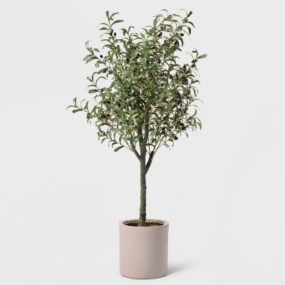 60" Potted Olive Tree - Lloyd & Hannah | Target