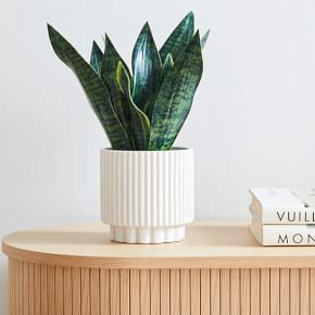 Faux Potted Snake Plant | West Elm (US)
