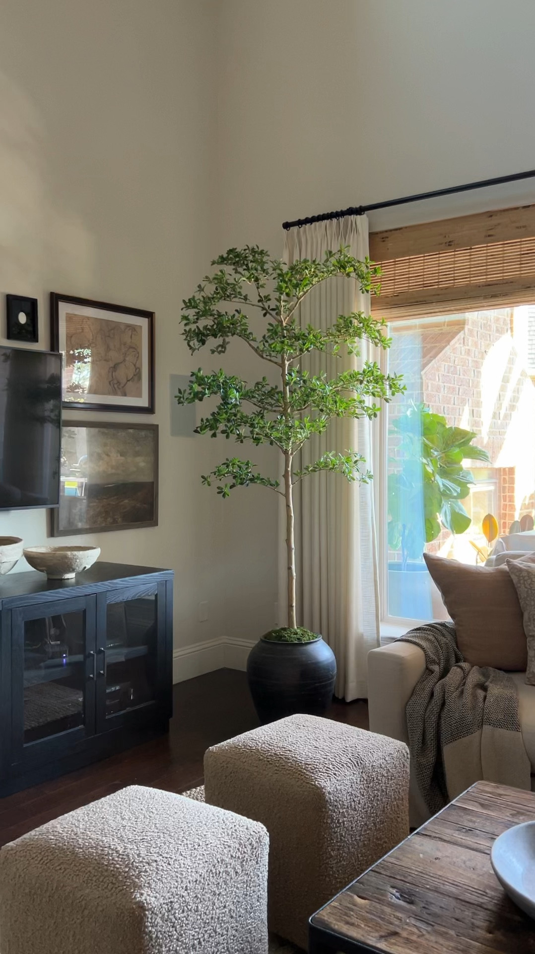 The most realistic faux Black Olive tree (aka Shady Lady) you will find!  I have the 7’ that I raised a few more inches in this black pot.



#LTKHome