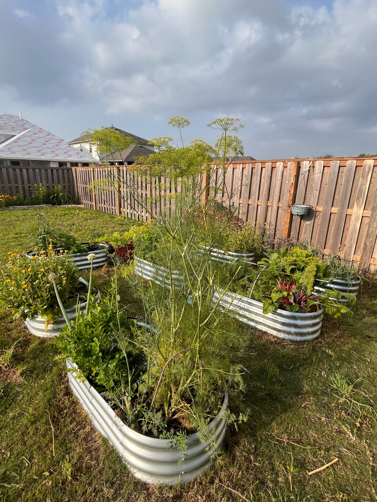 We’ve expanded the garden since I last posted what we use! 

#LTKsalealert #LTKSeasonal #LTKActive