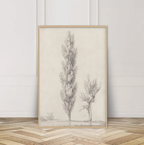 Vintage Tree Sketch, Vintage Landscape, Trees, Tree Drawing, Tree Etching, Forest Sketch, Woods P... | Etsy (US)