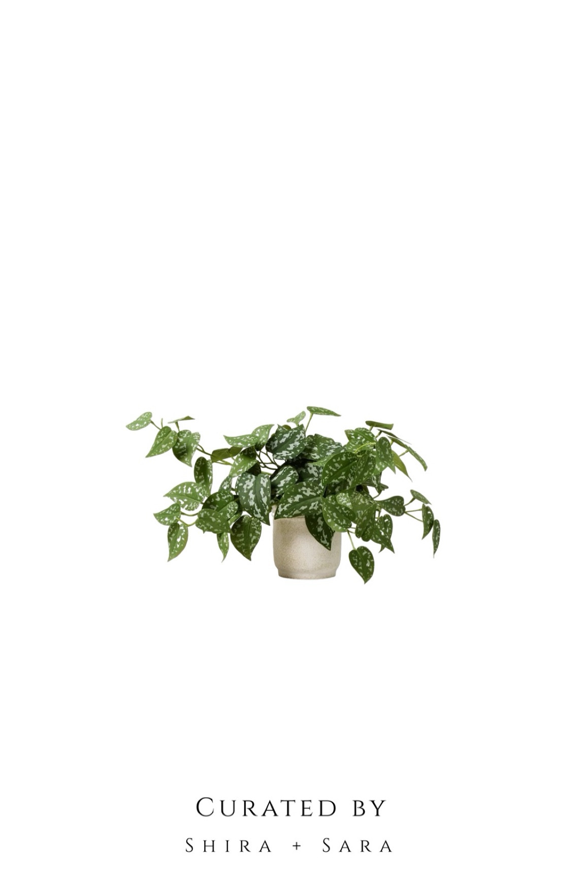 It’s all in the details for us…especially when those details involve a pop of greenery! 🌿 While we’ll always prefer real over faux, there are some great options out there for those that can’t keep a plant alive or have a less than sunny nook that could use a little green! Sharing in stories and on the LTK app. 👆🏻
xx, Shira + Sara 🤍 
#CuratedByShiraAndSara #SEHFinds

#LTKhome