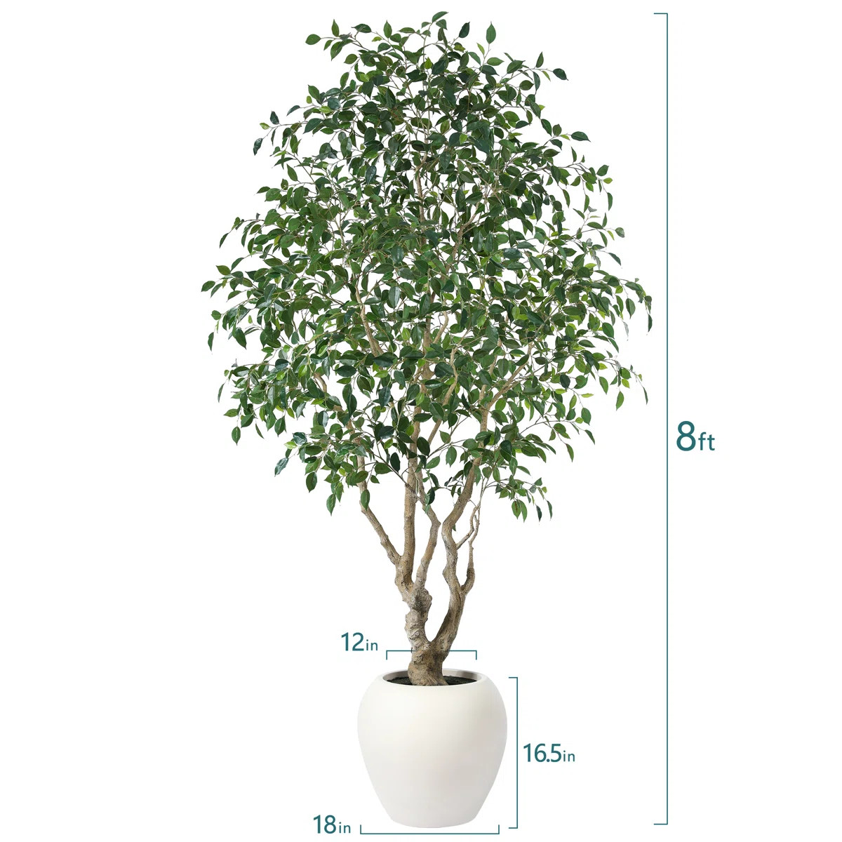 Adcock 8ft Artificial Ficus Tree with 18in White Planter, Tall Faux Ficus Tree for Outdoor | Wayfair North America