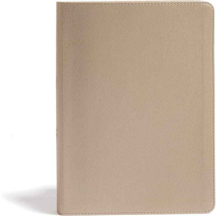 CSB She Reads Truth Bible, Champagne Gold LeatherTouch, Indexed, Black Letter, Full-Color Design,... | Amazon (US)