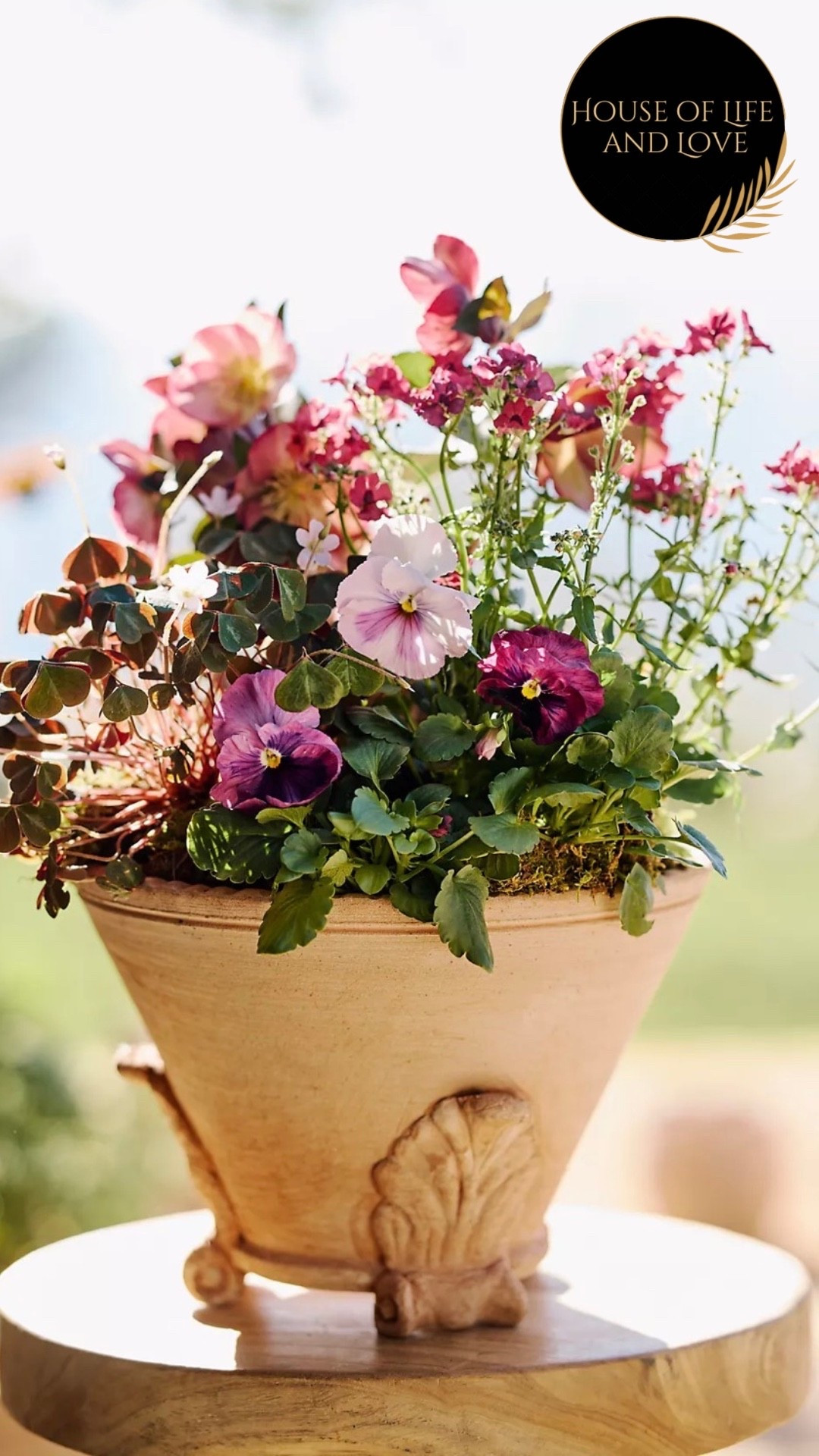 #LTKHome #LTKBeauty #LTKmomlife