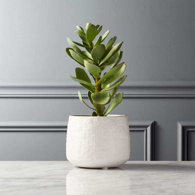 Potted Faux Succulent White Pot 14"In stock and ready to ship.ZIP Code 19019Change Zip Code: Subm... | CB2