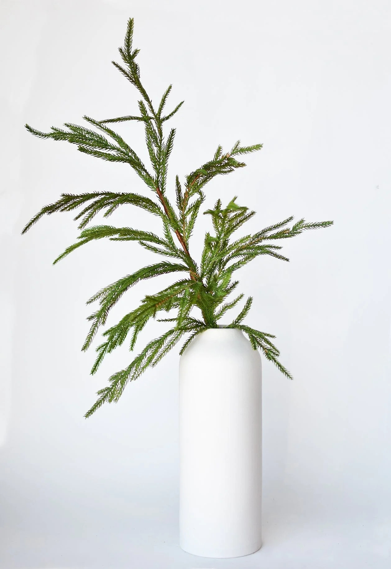 36" Faux Green Norfolk Pine - Cypress Spray Stem | HouseFloral