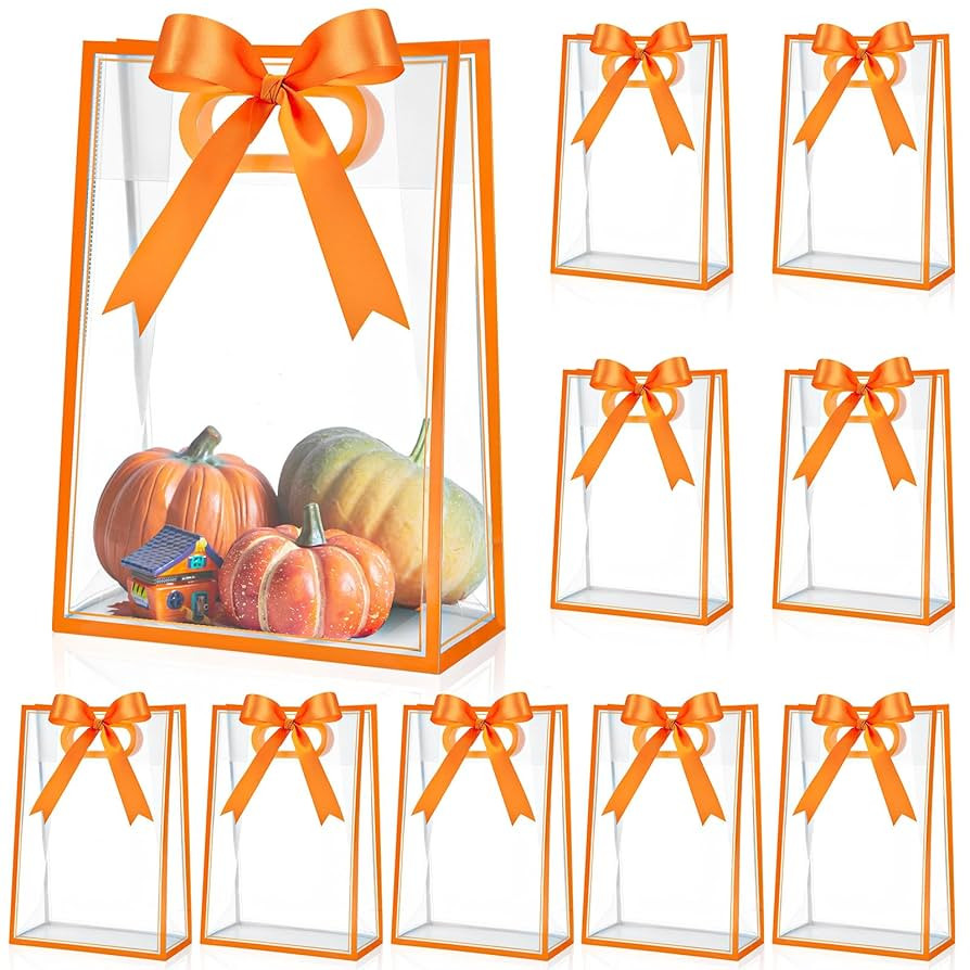 Aliceset 12 Pcs Clear Plastic Gift Bag with Die Cut Handles Reusable PP Favor Bag with Ribbon for... | Amazon (US)