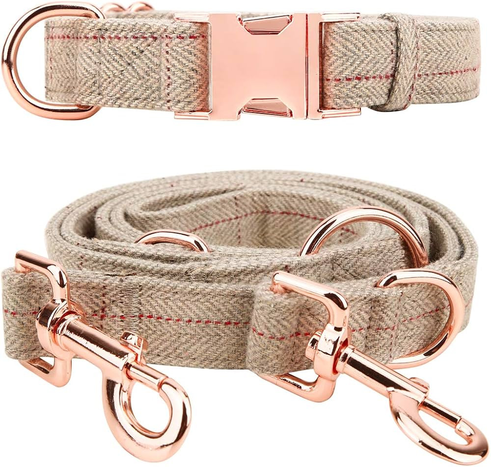 Medium-Large Big-Female Heavy-Duty Dog-Collar Leash-Set - Rose Gold 6 Foot Exceptionally Elegant ... | Amazon (CA)