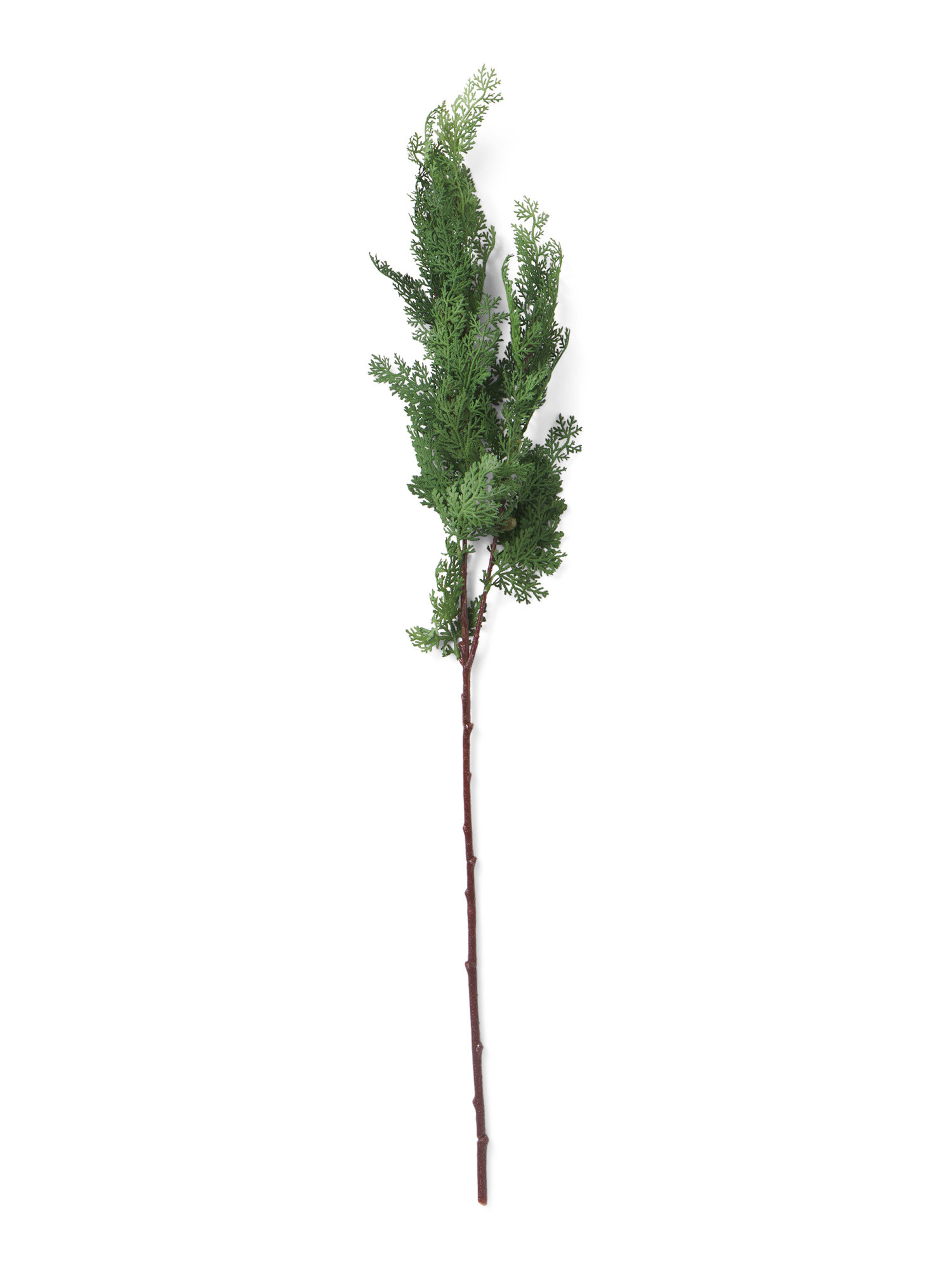 Cedar Greenery Branch | TJ Maxx