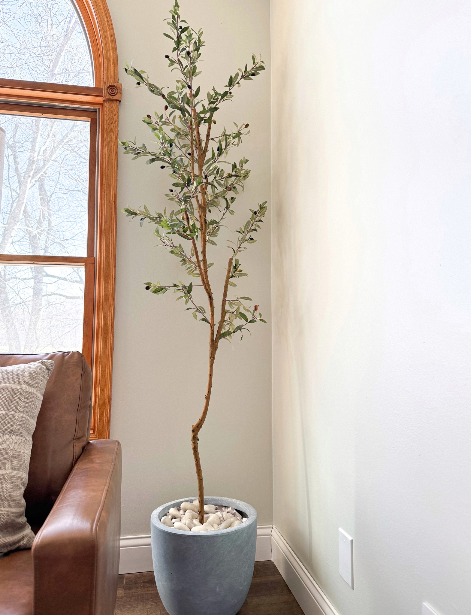 Faux Olive Tree from Amazon 🤍🫒

#LTKhome #LTKSeasonal #LTKstyletip