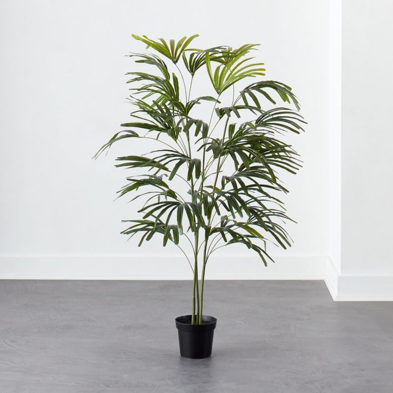 Potted Spade Tree 5'CB2 Exclusive Purchase now and we'll ship when it's available.    Estimated ... | CB2