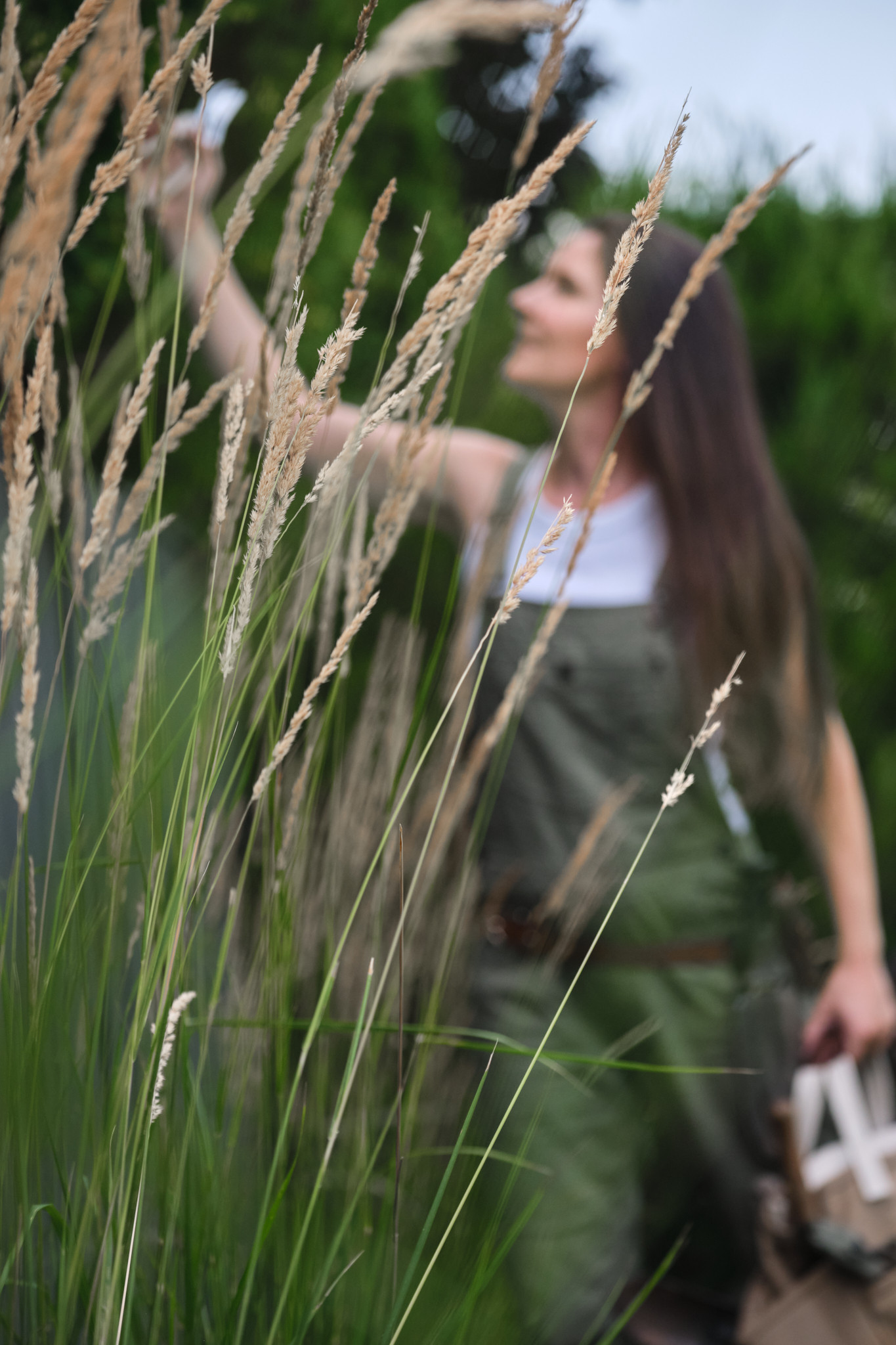 Fall landscaping 

#LTKHome