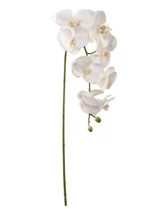 Exquisite 2-Pack 33.5" White Orchids - Enhance Your Home Decor with Elegant Beauty | Michaels | Michaels Stores