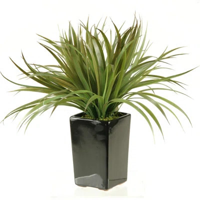 Square Ceramic Grass in Planter | Wayfair North America