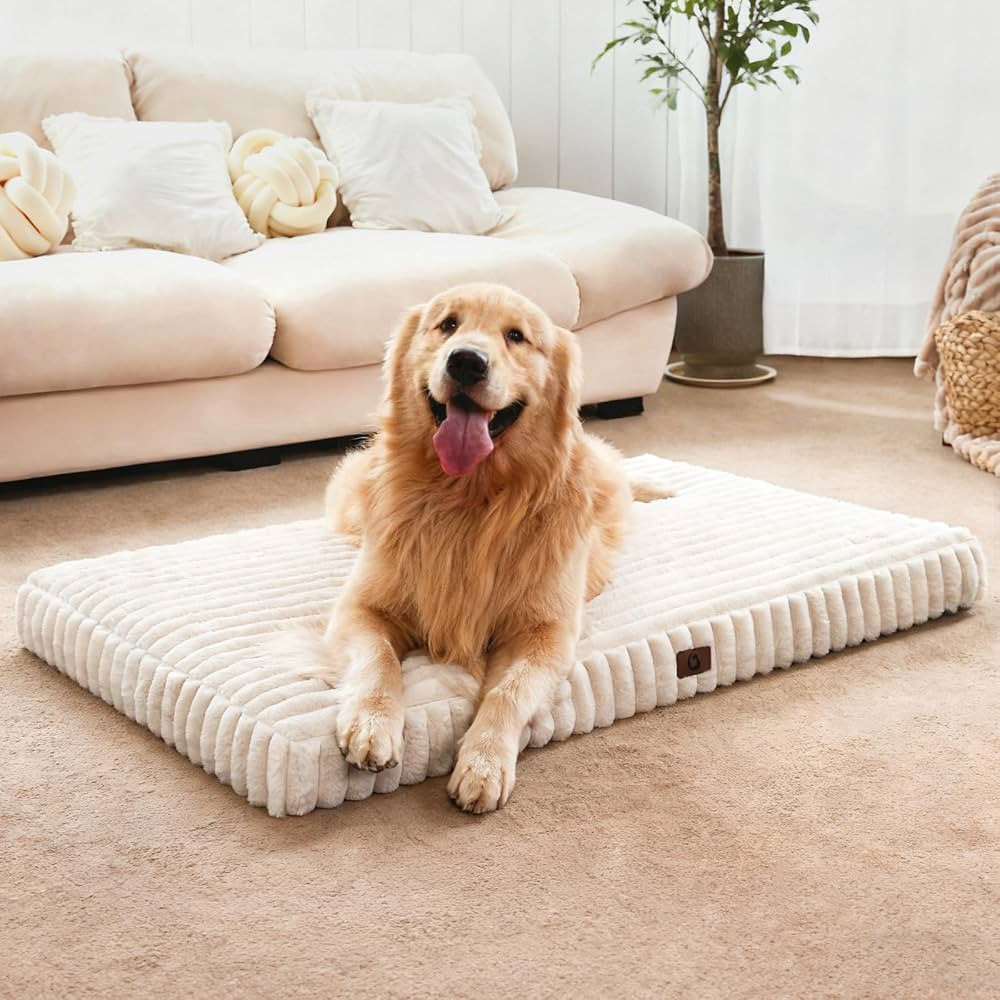 Dog Beds for Large Sized Dog, Orthopedic Pet Bed with Waterproof Lining, Soft Short Plush Surface... | Amazon (US)