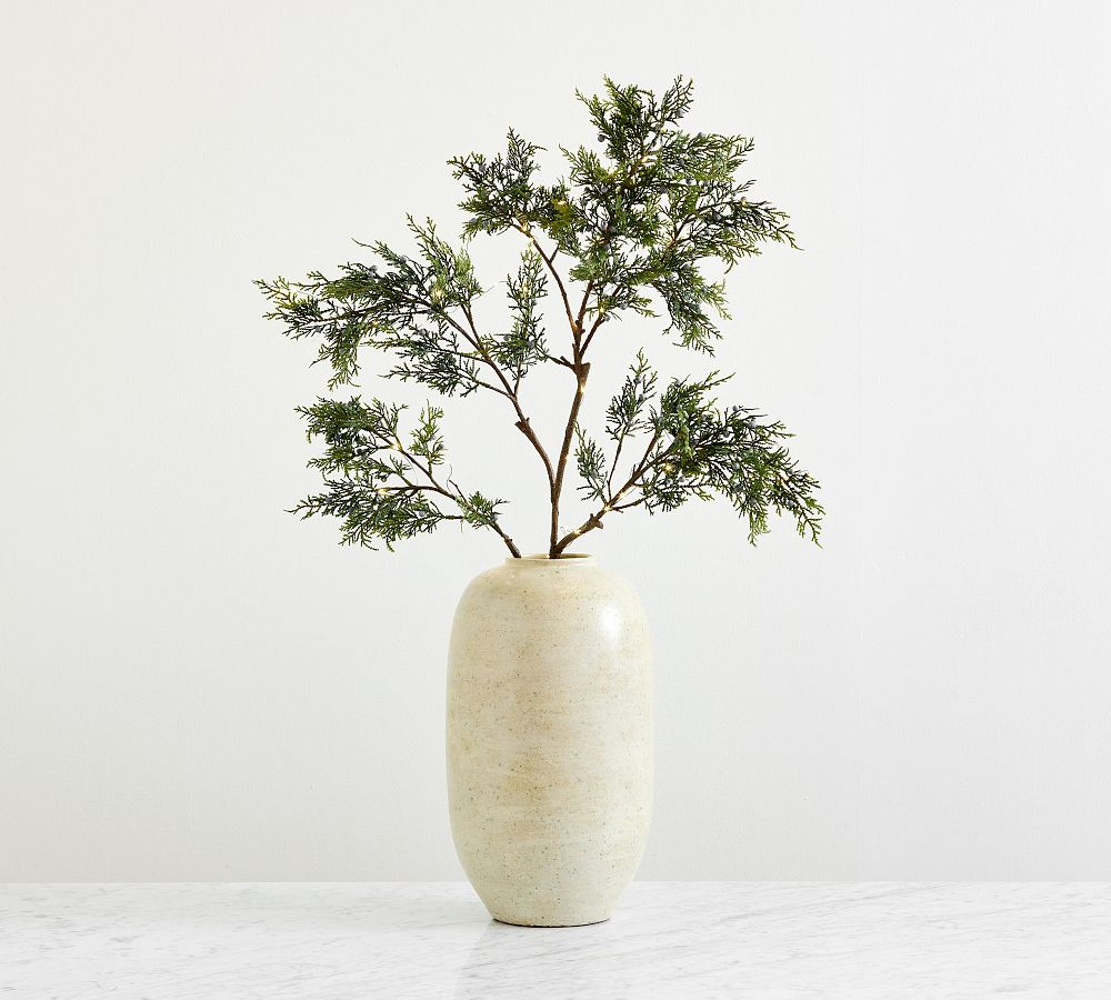Faux Lit Juniper Berry Branch | Pottery Barn (US)