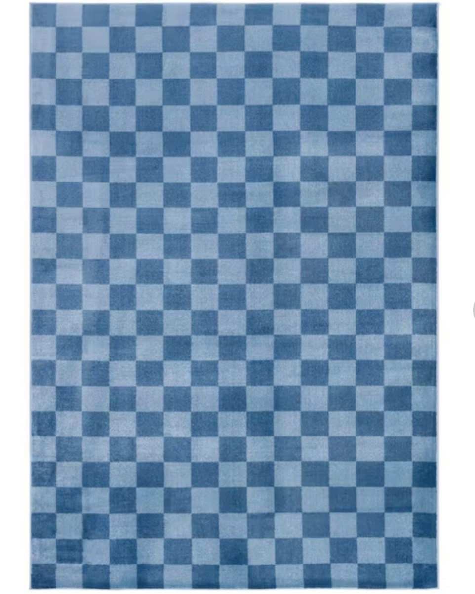 Groove 4 ft. x 6 ft. Blue/Light Blue Checkered Area Rug

#LTKHome #LTKKids